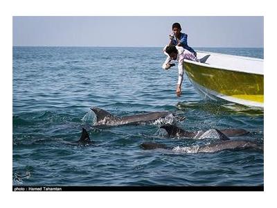 تور ارزان قشم 