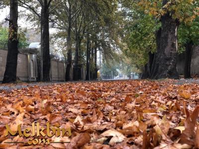 3870 متر باغ به صورت چهار دیواری در شهریار