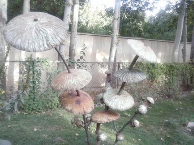 فروش باغ ویلا 3200 متری در شهریار(کد169)