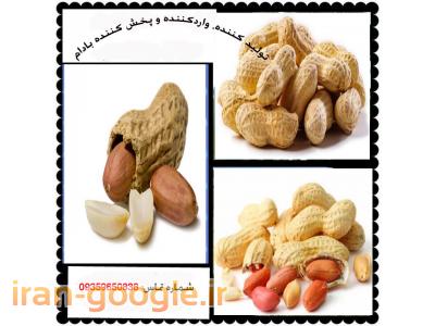 سیب‌زمینی-تولید کننده، وارد کننده و پخش کننده بادام