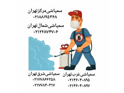 سمپاشی موش در تهران