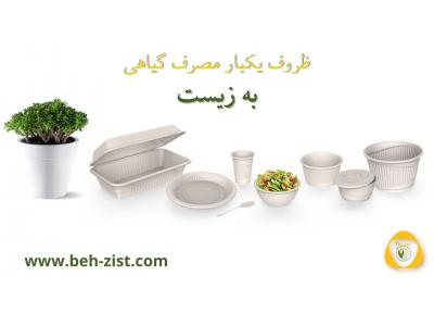 خاوران-اعطای نمایندگی‌ ظروف گیاهی به زیست در استان ها