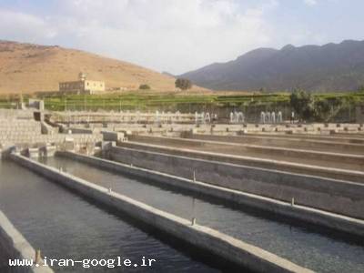 پرورش ماهی - فروش استخر پرورش ماهی