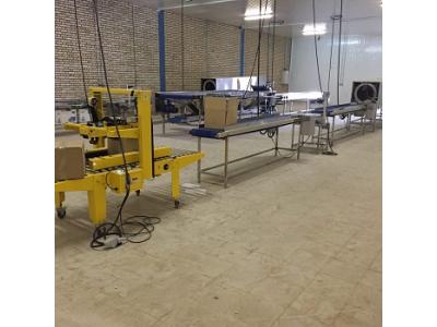 فروش سردخانه 2500 تنی با واحد سرت و خشک کن میوه