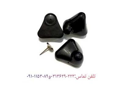 پخش تگ مثلثی با شرایط ویژه در اصفهان