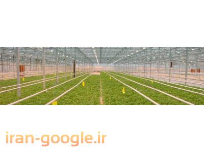 ساخت فن صنعتی ، فروش فن صنعتی ، ساخت فن خاص