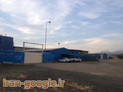 تولید و فروش انسجام مهر