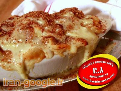 قیمت انواع پنیر پیتزا موزارلا فروزان