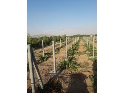 نصاب توری - نصاب فنس - نصب پایه بتونی - نصب توری - هزینه نصب پایه بتونی - توری کشی