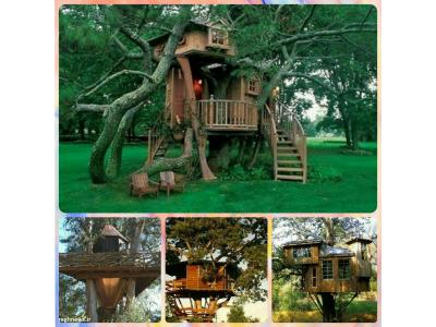 خانه سازی-طراحی و ساخت خانه های درختی با هر میزان بودجه
