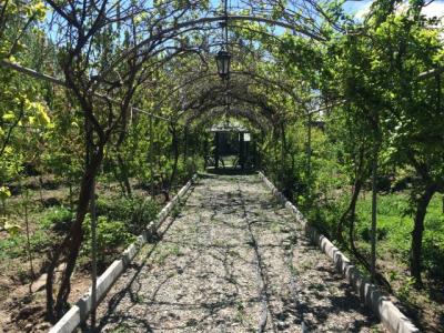 فروش باغ ویلا 2400 متری در خوشنام (کد277)