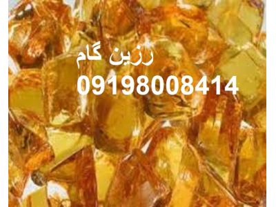 خرید  رزین گام