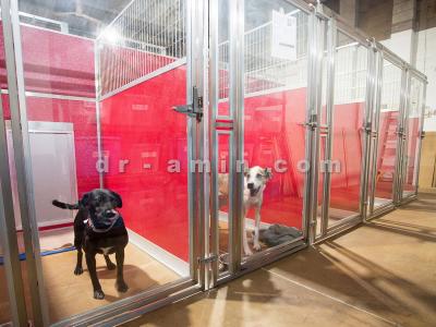 واکسیناسیون ماهی و آبزیان 