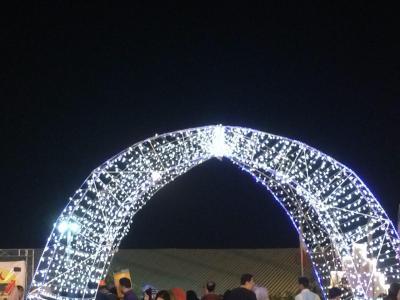 فروش ریسه ال ای دی ، فروش ریسه بلوطی ، فروش ریسه مولتی کنترل