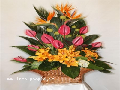 گلستان نور - ارسال گل برای هر مناسبت