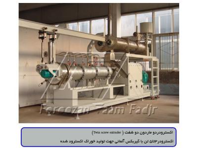 خط تولید پفک و اسنک 