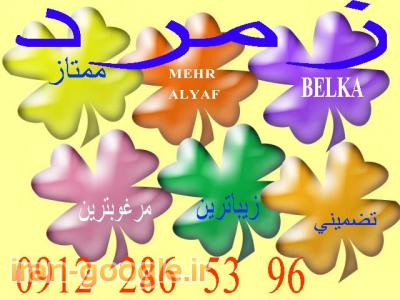 فروش پوشش سلولزی