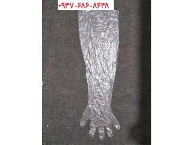 دستکش مامایی دامپزشکی یکبار مصرف