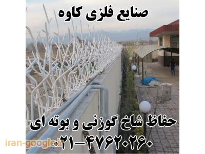 حفاظ شاخ گوزنی - حفاظ بوته ای