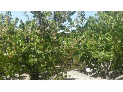 فروش باغ ویلا ۳۰۰۰ متری در شهریار(کد127)