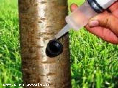 تخریب-کود مایع 11 عنصر باتزریق مستقیم به تنه درخت