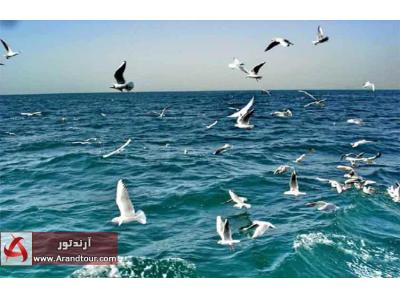 تور قشم و جزیره هنگام تعطیلات آبان 97
