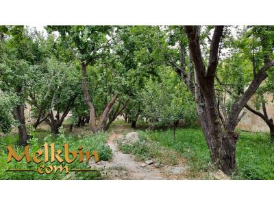 400 متر باغچه در ملارد