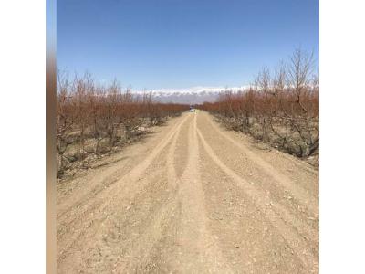 مژده مژده  به شکارچیان ملک فروش اکازیون مغازه  در  فردیس  و باغ در  هشتگرد  