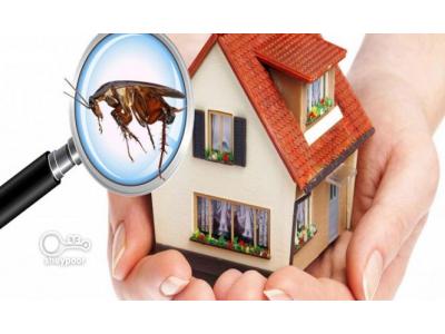 سمپاشی منازل