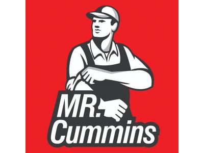 آقا کامینز فروشنده قطعات موتورهای کامینز در تهران