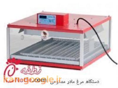 دستگاه مرغ مادر مصنوعی