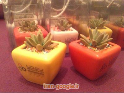 فروش گلدان های تبلیغاتی