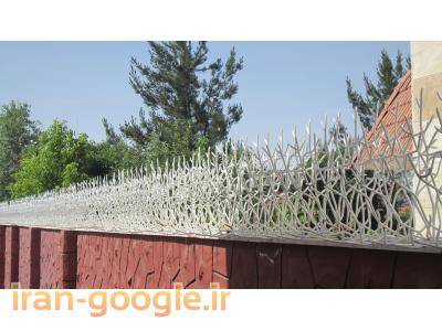 حفاظ شاخ گوزنی و حفاظ بوته ای