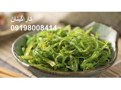 صمغ کاراگینان