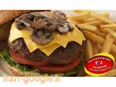 پخش انواع برگر 202 با قیمت استثنائی