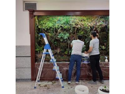 دکوراسیون داخلی در مشهد-دیوار سبز حرفه ای – گرین وال