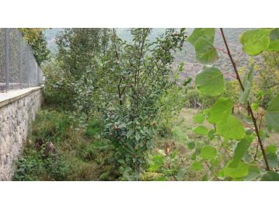 فروش بدون واسطه زمین کلاردشت رودبارک