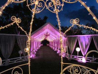 تشریفات و خدمات مجالس فراز فارسی 