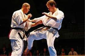  dvd /cd آموزش کیوکوشین کاراته 
