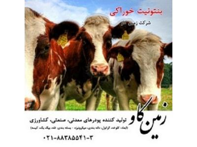 بنتونیت خوراک دام