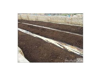 ورمی کمپوست ، ورمی واش ، کرم خاکی آزینیا فتیدا در اصفهان