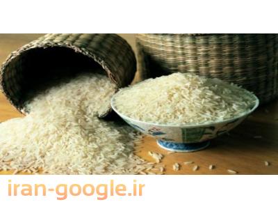 فروش برنج-فروش برنج محسن با قیمت طلایی-هولدینگ پیام افشار