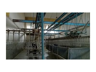 فروش کشتارگاه صنعتی طیور در استان تهران