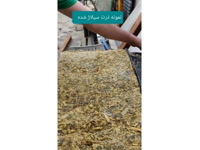 فروش دستگاه بسته بندی ذرت علوفه ای - خوراک دام - ماشین آلات کشاورزی