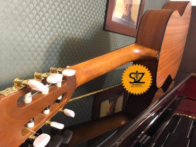 فروش گیتار ریموندو Raimundo 123 - سالار غلامی