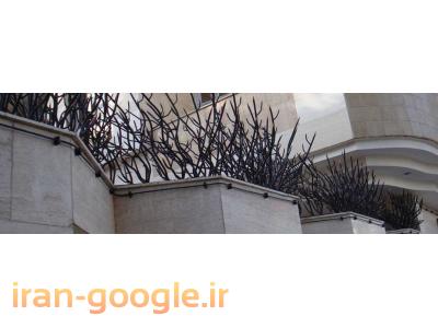 حفاظ شاخ گوزنی تبریز