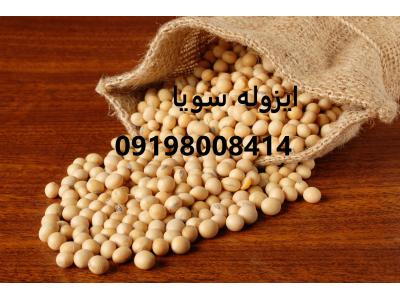 ایزوله سویا 