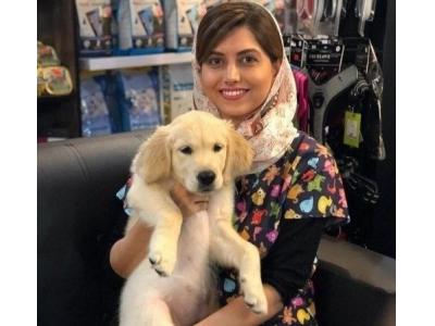 فروش تخصصی حیوانات خانگی-کلینیک دامپزشکی و پت شاپ نیک در تهران 