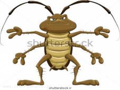 سمپاشی موریانه/ سوسک/ ساس/ بید/ کک/ عقرب/ هزار پا