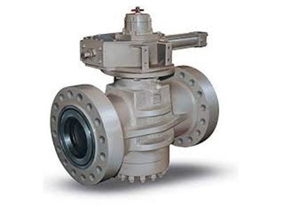 شیر آدکو - پلاگ ولو - فلنچی